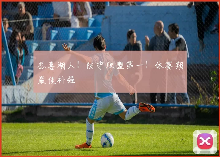 恭喜湖人！防守联盟第一！休赛期最佳补强