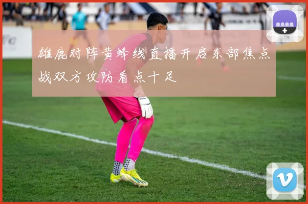 雄鹿对阵黄蜂线直播开启东部焦点战双方攻防看点十足