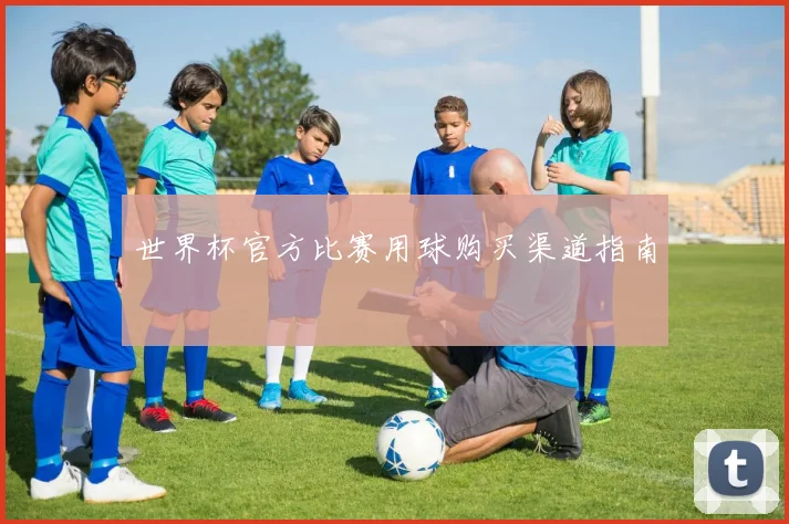 世界杯官方比赛用球购买渠道指南